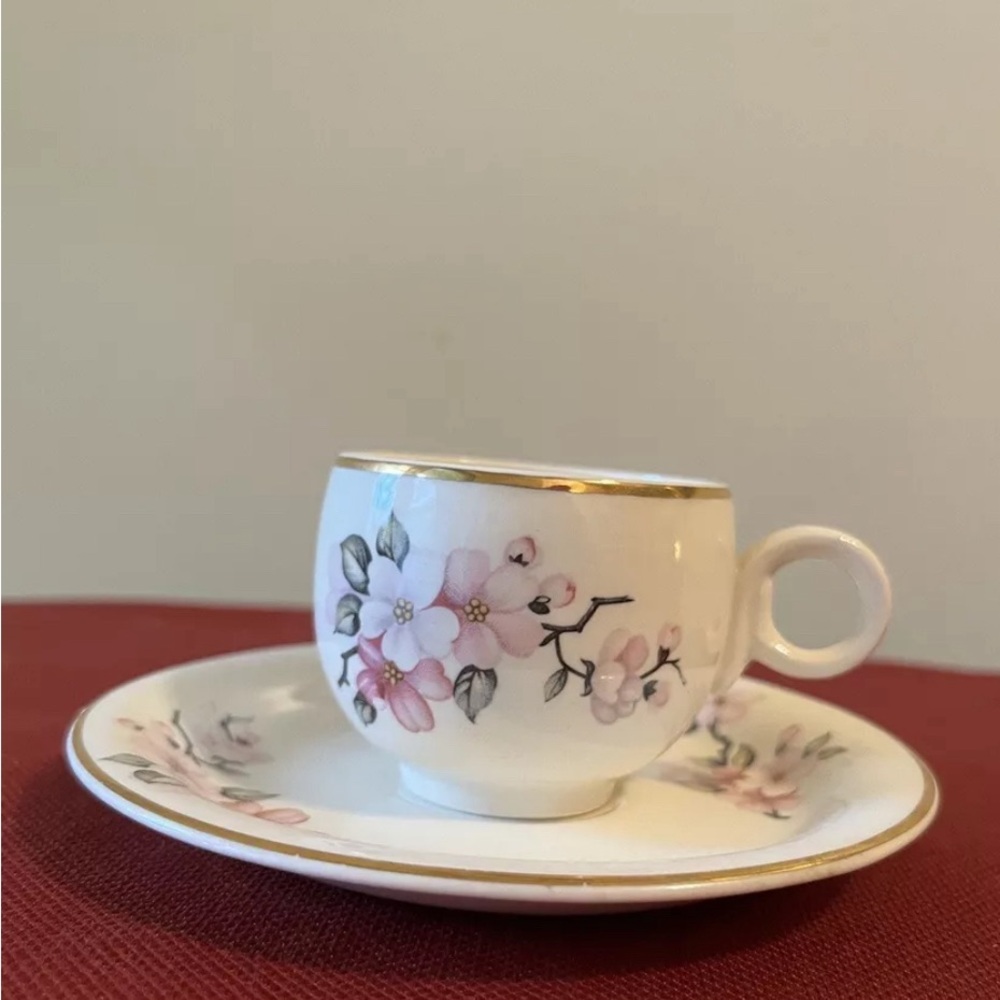 Homer Laughlin Vintage Apple Blossom design  demitasse cup and saucer